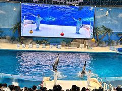 -泉城欧乐堡海洋极地世界