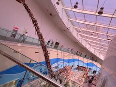 -陕西自然博物馆