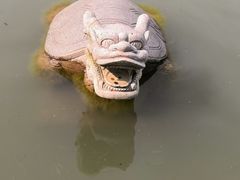 -昆山城市生态森林公园