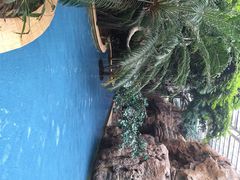 龙达温泉生态城-龙达温泉生态城