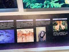 -南京科技馆