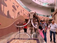 -陕西自然博物馆