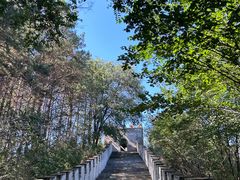-玉泉威虎山森林公园