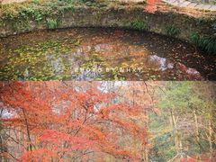-虎跑公园