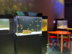 -沈阳海洋探索中心