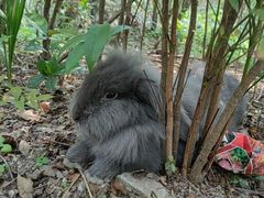 -重庆彩云湖湿地公园