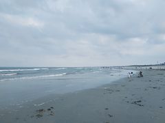 -东海岛旅游度假区