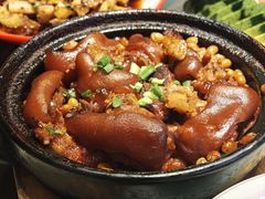 -新概念来凤鱼(璧山店)