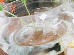 -鲜味食族水产·海鲜餐厅