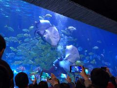 -华夏文旅海洋公园