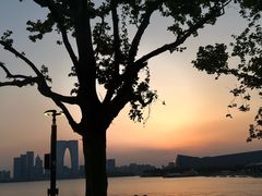 -金鸡湖景区