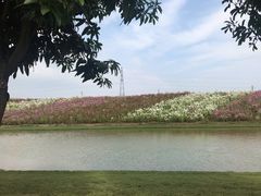 -迪茵湖田家舍生态农场