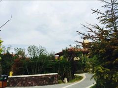 -大连金石滩绿发温泉假日酒店