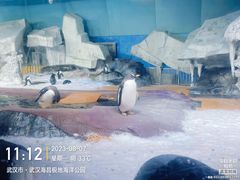 -海合安武汉极地海洋公园