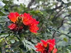 -火炉山森林公园