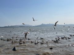 -深圳湾公园(南山区)