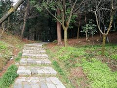 -四明山国家森林公园