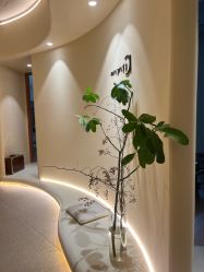 -阿南达·瑜伽普拉提·阿育吠陀疗愈中心