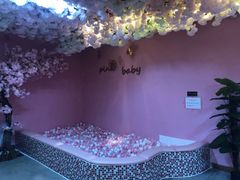 -pink baby·新晋网红打卡地