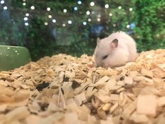 -狗道宠物(常熟印象城店)