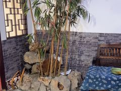-采芝斋评弹茶馆(观前街店)