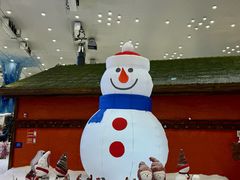 -长沙湘江欢乐雪域