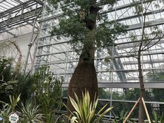 -南山植物园