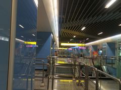 -大龙山(地铁站)