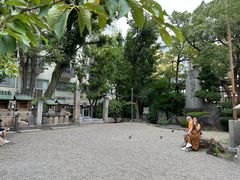 -难波八坂神社