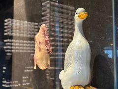 -四季民福烤鸭店(外滩外白渡桥店)