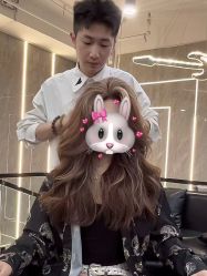 点击看大图 -Tipo Hair salon(明星)店