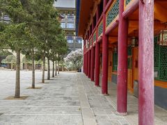-东关清真大寺