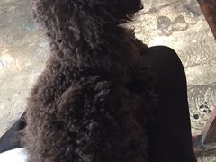 -赢吧Bliss音乐酒吧