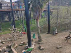 -武汉动物园