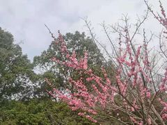 -杭州半山国家森林公园