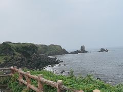 -涉地可支