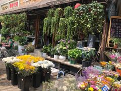 -宝鸡东道花鸟鱼虫市场(吉利花园商场店)
