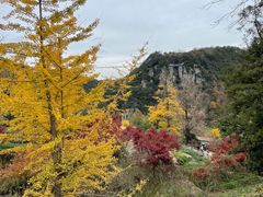-丹山赤水风景名胜区
