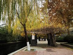 -环城公园
