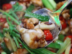 -飞尝蚝·顺德菜·鱼生(顺德总店)