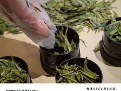 -先春西湖龍井•九曲红梅(杭大路店)