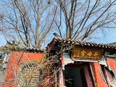 -泰山风景名胜区