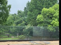 -J Create城市露营咖啡·简餐·宠物(上海动物园店)