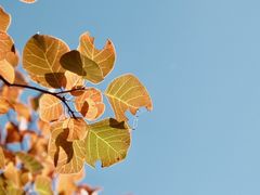 -北京金海湖景区