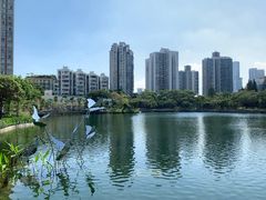-四海公园(南山区)