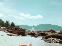 -西涌国际滨海旅游区