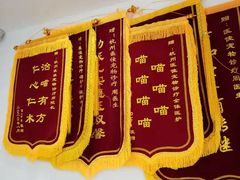 -萌兽医馆·宠物医院·猫骨科(创景店)