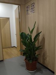 -西安伊美尔医疗美容医院