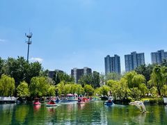 -张店儿童公园