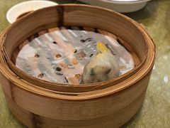 -有心德(麦地店)